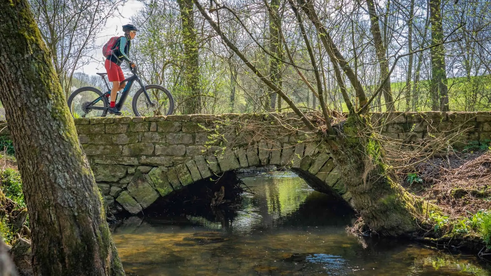 Electric Bikes Net Weight and Riders Weight Limits by the Numbers 2