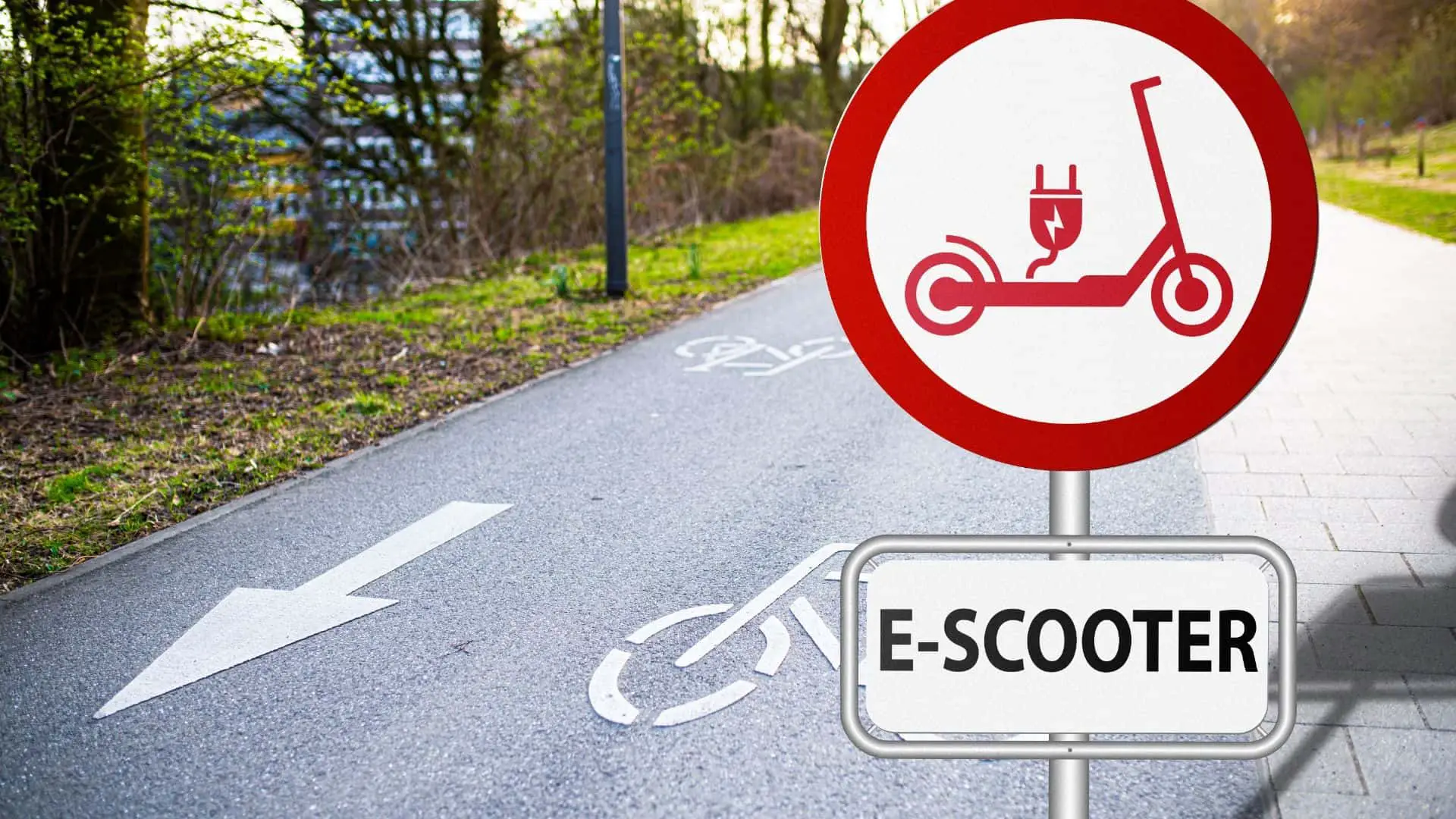 Electric Scooters Buying Guide: Find Your Smart Choice 5