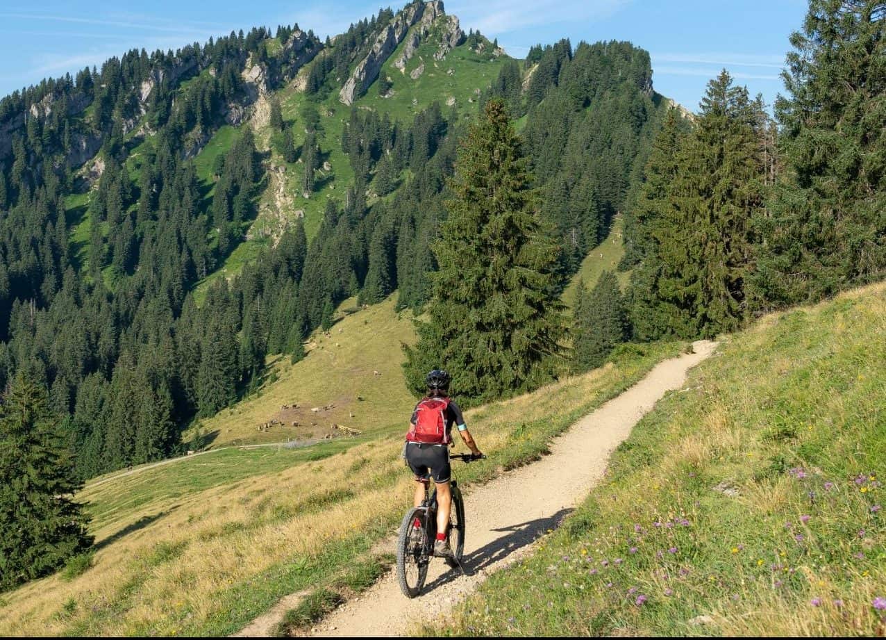 Best Electric Bikes For Camping: To Choice for Cargo and Stability 12