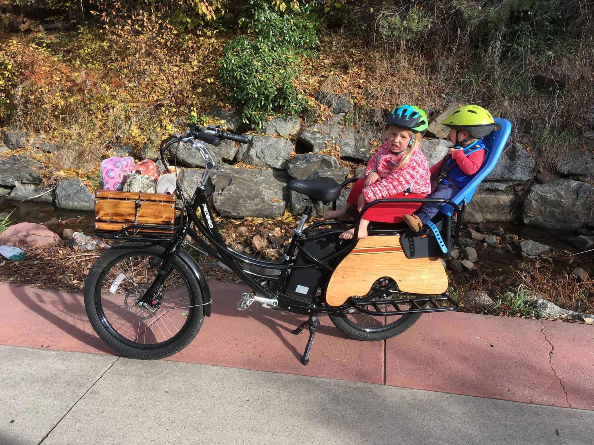 Got a Companion? Best Electric Bikes with Passenger Seat (Adult, Child