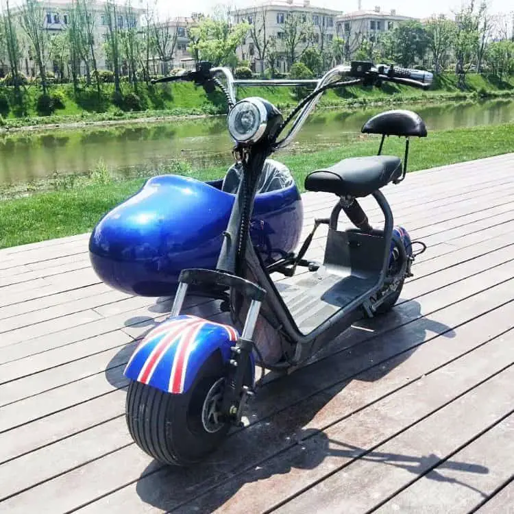 TKES-004-ET-03 Got a Companion? Best Electric Bikes with Passenger Seat (Adult, Child or Dog) 13
