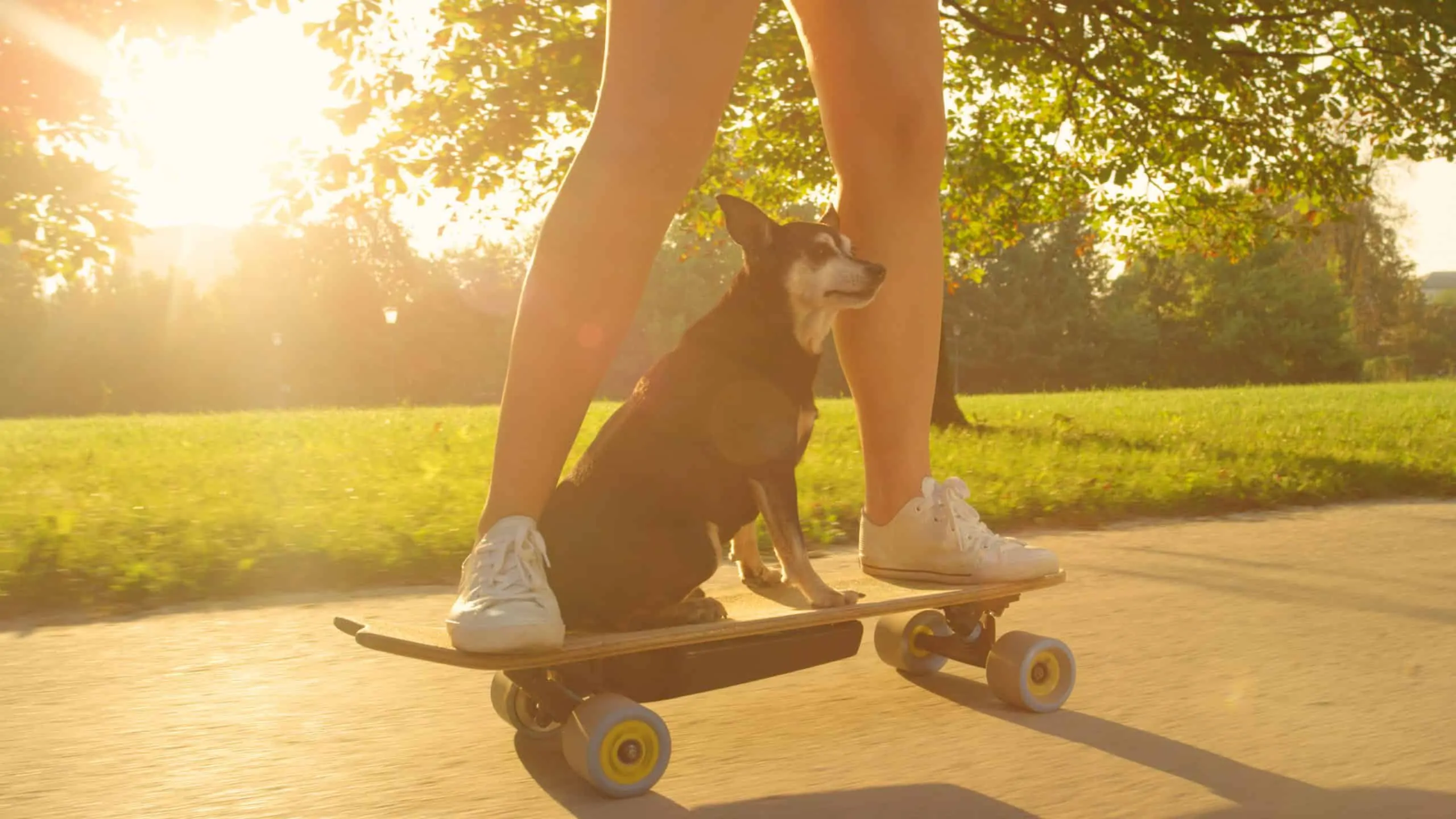 What is the Cost Determining Factors Of An Electric Skateboard?