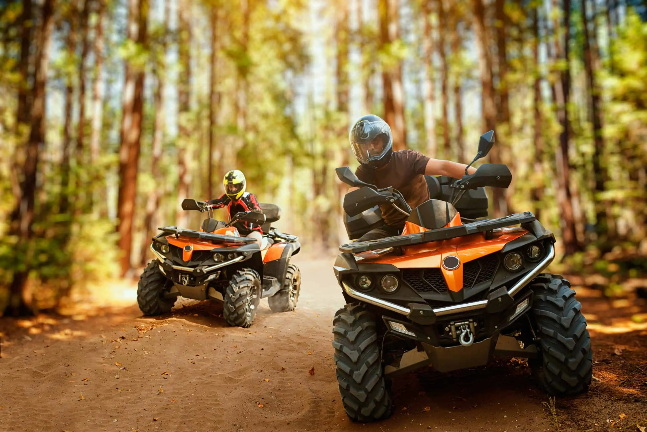 Electric ATV Buying Guide