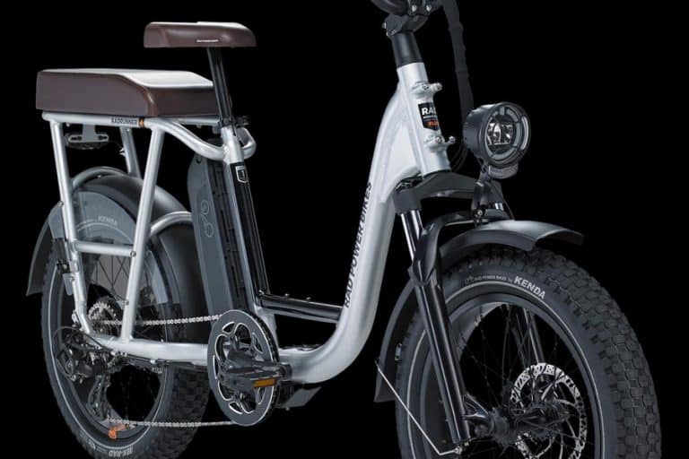 Got a Companion? Best Electric Bikes with Passenger Seat (Adult, Child