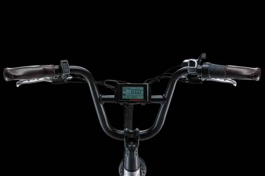 Best Electric Bike with Child Seat in '2025' 5