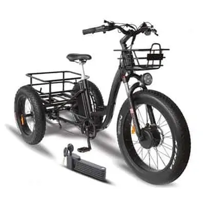 T4B Carriage Trike 3 T4B Carriage Trike 3