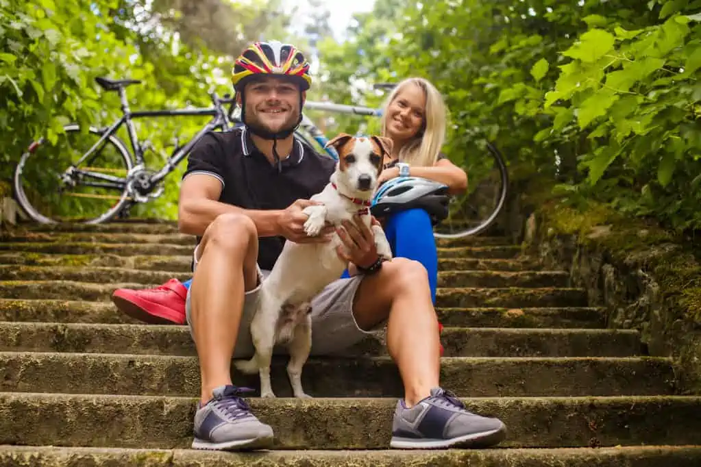 Top Electric Bikes With Dog Carrier