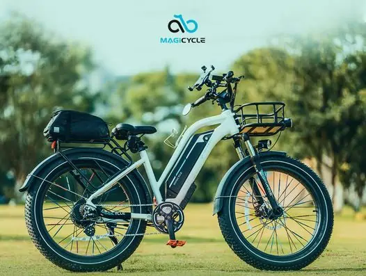 ebikes facts