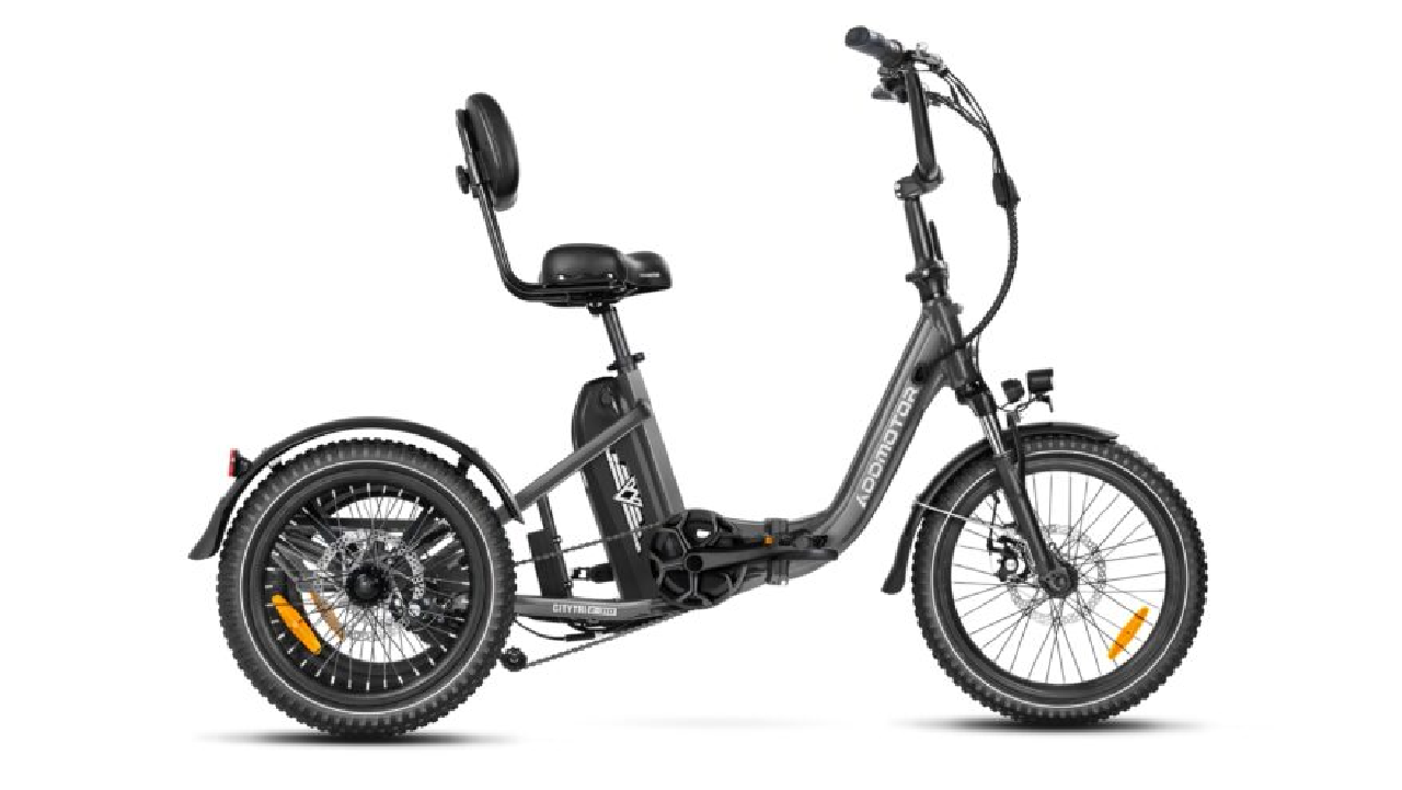 CITYTRI E-310