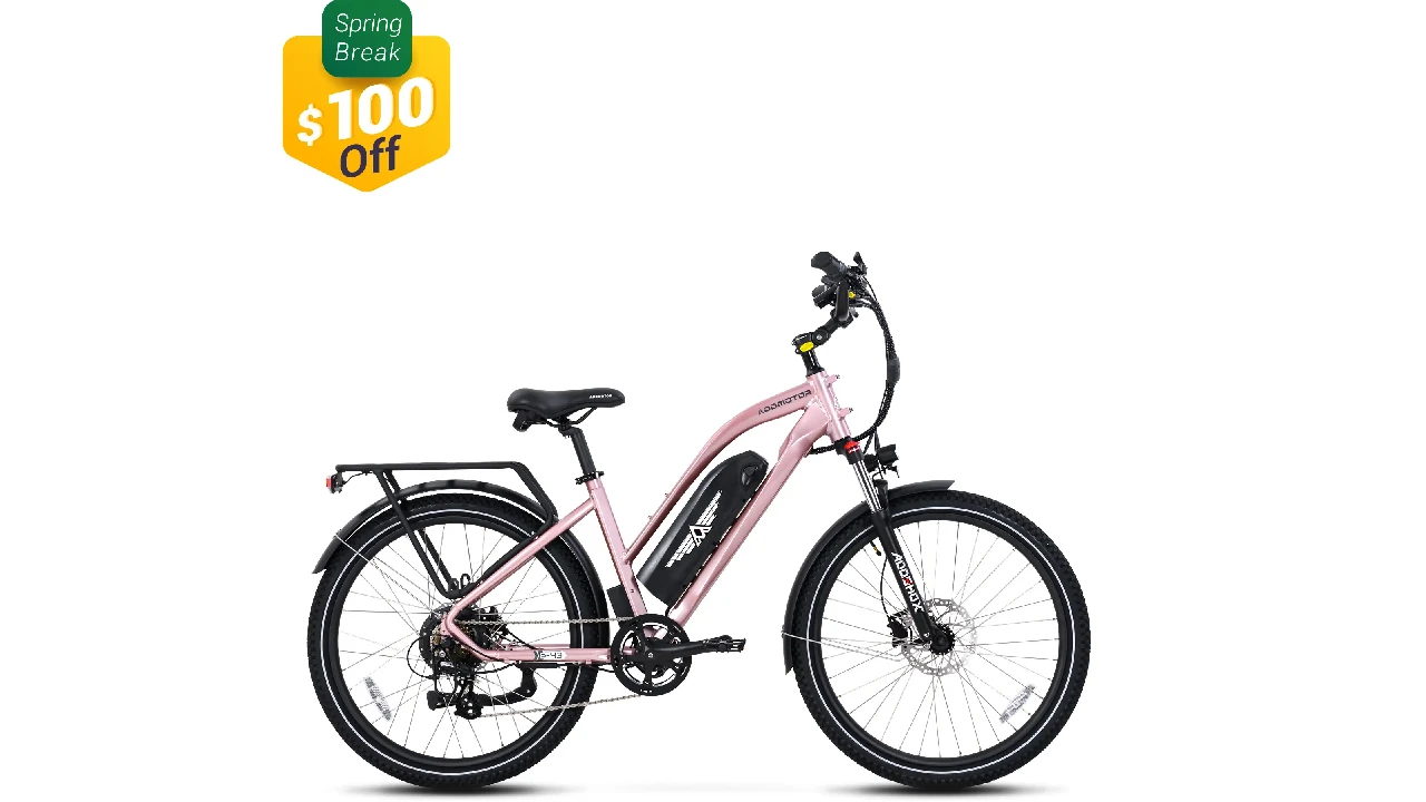 Citypro E-43 eBike